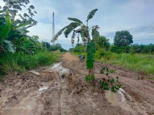 Kerusakan Jalan penghubung Sangat dikeluhkan Masyarakat Tirta laga Kec. Mesuji Atas