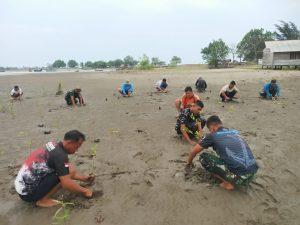 Cegah Abrasi Pantai Di Pulau Seumadu, Pangkalan TNI AL Lhokseumawe Bersama Masyarakat Pesisir Laksanakan Penanaman Mangrove