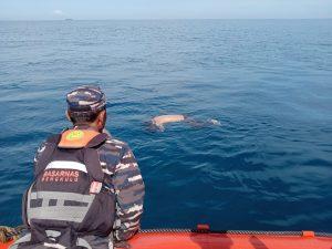 Tim SAR TNI AL Lanal Bengkulu Laksanakan Pencarian Warga Palembang Yang Tenggelam Di Pantai Panjang Bengkulu
