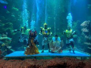 31 Tahun Sea World Ancol Keajaiban Dunia Laut 01 Oct 2023