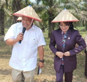 Inovasi Pertanian Berkelanjutan: Biosoildam MA 11 sebagai Solusi Kemandirian Pangan