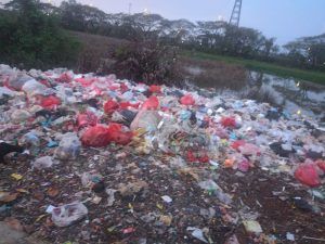 Kampung Bidara Kurang perhatian dari Lingkungan hidup