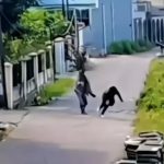 ODGJ BERULAH, Polisi Sedang Mencari Keberadaannya