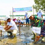 Kadispotmar Lantamal I Hadiri Kegiatan Penanaman Mangrove di Kantor PLN NP UPDK Belawan