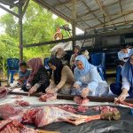 Rayakan Hari Raya Idul Adha 1445 H/2024 M, Pangkalan TNI AL Simeulue Laksanakan Penyembelihan dan Penyerahan Hewan Qurban Kepada Masyarakat