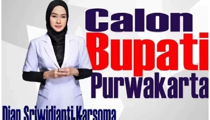 Didapuk menjadi Ketua Umum DIAN CENTRE, ini kata Tubagus Bahrudin