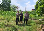 Dukung Ketahanan Pangan Nasional Asta Cita Presiden RI, Polsek Cilincing Cek Lahan yang Digunakan Pertanian di Pondok Pesantren Ash Sholihin Rorotan