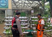 Dukung Program Ketahanan Pangan, Kapolsubsektior Pademangan Barat Kunjungi Lahan Hidroponik dan Kolam Ikan