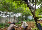 Polsek Kelapa Gading Laksanakan Program Pekarangan Pangan Bergizi untuk Ketahanan Pangan