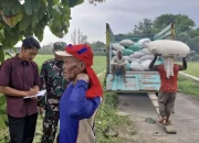 Bulog Tak Libur Lebaran: Pangan Aman dan Stabilitas Terjaga