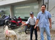 BRI Kantor Cabang Kemayoran Serahkan Hewan Kurban sebagai Bentuk Kepedulian Sosial di Hari Raya Iduladha