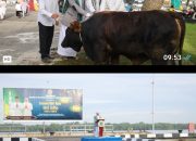 Lantamal I Laksanakan Sholat Idul Adha 1446 H dan Pemotongan Hewan Qurban