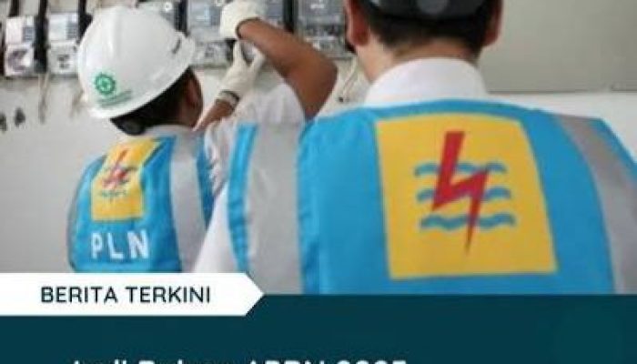 Masa Depan Energi di Tangan PLN: Dari Beban Subsidi ke Agen Transformasi