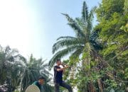 Komando Desak Kejagung dan Dirjen Minerba Periksa PT. Wisnu Mandiri Batara Terkait Dugaan Tambang Ilegal