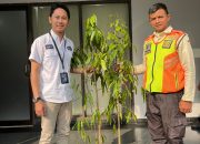 BRI Kanca Bandara Soekarno-Hatta Bersama Angkasa Pura Tingkatkan Kualitas Lingkungan Bandara Melalui Program Penghijauan