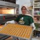 Nutsafir Cookies: Oleh-Oleh Sehat dari Bumi Lombok
