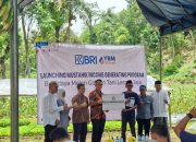 BRI BO Rangkasbitung dan YBM BRILiaN Luncurkan Program Pemberdayaan Mustahik melalui Budidaya Melon Golden